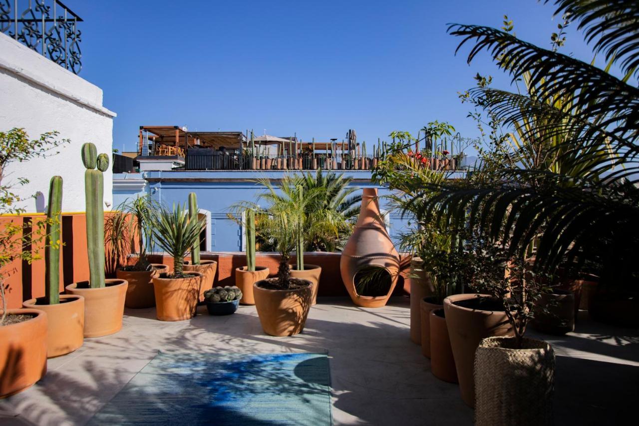 Hotel Los Amantes Oaxaca Экстерьер фото